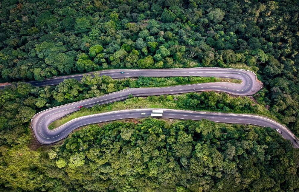 Aerial view of a lush green landscape with roads surrounded by dense trees in Sri Lanka