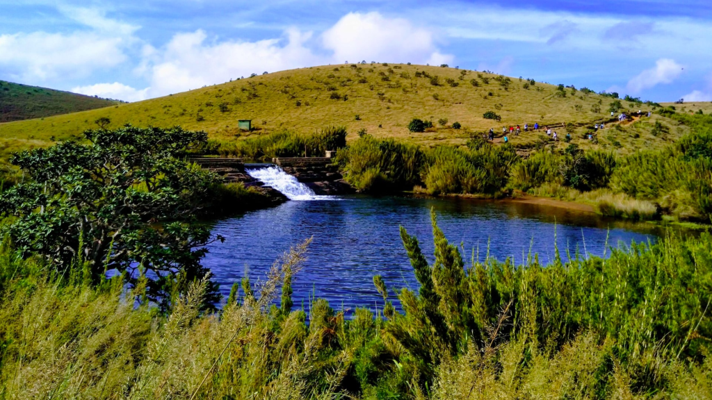 Horton Plains National Park