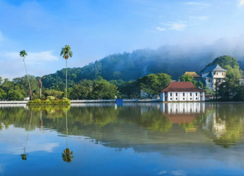 7 Scenic Stops on the Ultimate Road Trip from Colombo to Ella – A Journey Through the Heart of Sri Lanka