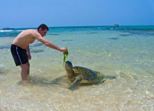 5 Amazing Places to Dive and Snorkel in Sri Lanka – Discover the Island’s Underwater Wonders